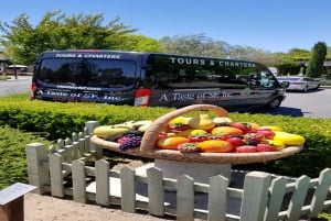 San Francisco: Tour dei vini di Muir Woods, Sausalito e Sonoma