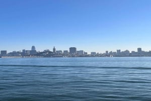 San Francisco: Muir Woods, Sausalito en Sonoma wijntour