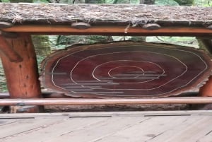 San Francisco: Muir Woods, Sausalito en Sonoma wijntour