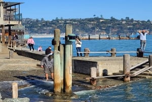 San Francisco: Muir Woods, Sausalito en Sonoma wijntour