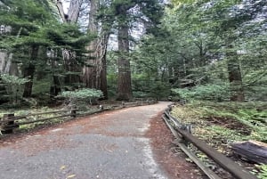 San Francisco: Muir Woods, Sausalito en Sonoma wijntour