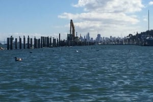 San Francisco: Muir Woods, Sausalito en Sonoma wijntour