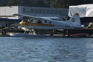 San Francisco: Muir Woods, Sausalito en Sonoma wijntour