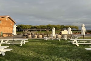 San Francisco: Muir Woods, Sausalito en Sonoma wijntour