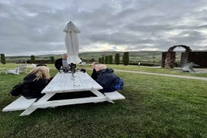 San Francisco: Muir Woods, Sausalito en Sonoma wijntour