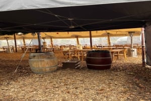 San Francisco: Muir Woods, Sausalito en Sonoma wijntour