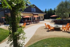 San Francisco: Muir Woods, Sausalito en Sonoma wijntour