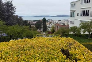 San Francisco: Muir Woods, Sausalito ja Battery Spencer -kierros