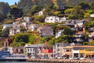 San Francisco: Muir Woods, Sausalito ja Battery Spencer -kierros