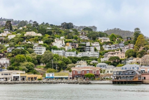 Fra San Francisco: Tur til Muir Woods, rødtræer og Sausalito