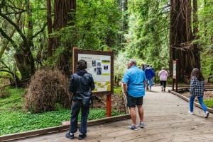 Fra San Francisco: Tur til Muir Woods, rødtræer og Sausalito