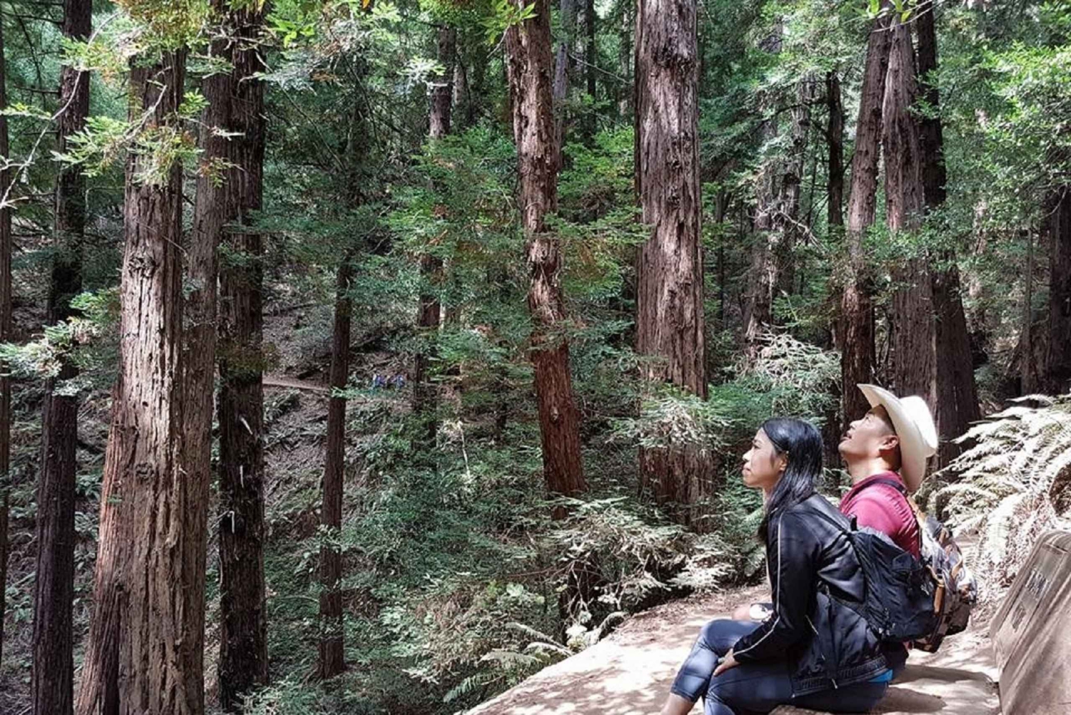 San Francisco : Visite de Muir Woods et croisière dans la baie du Golden Gate