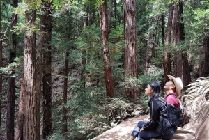 San Francisco : Visite de Muir Woods et croisière dans la baie du Golden Gate