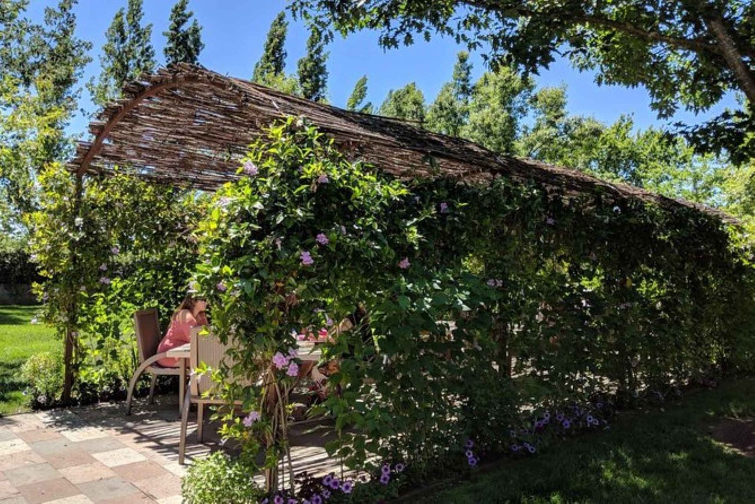 Сан-Франциско: Частный винный тур по долине Напа и Сонома