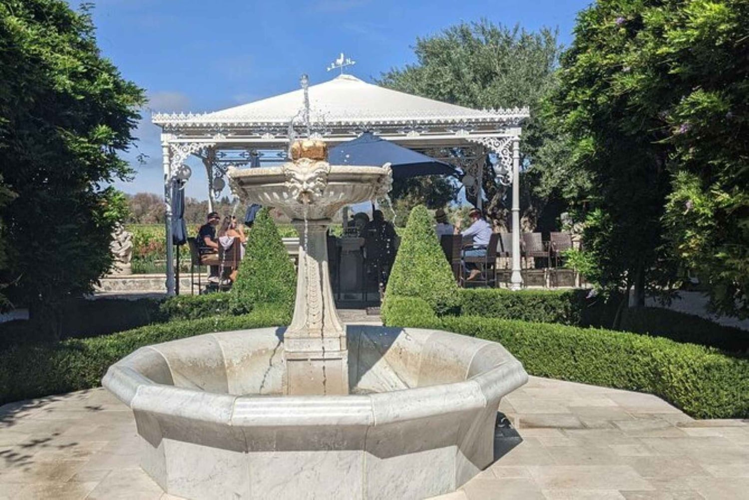 Сан-Франциско: Частный винный тур по долине Напа и Сонома