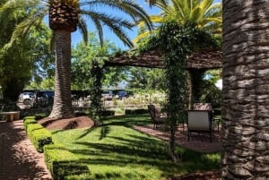 Сан-Франциско: Частный винный тур по долине Напа и Сонома