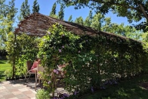 Сан-Франциско: Частный винный тур по долине Напа и Сонома