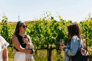 Napa and Sonoma Valley Wine Tour