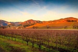 Fra Vintur til Napa og Sonoma Valleys