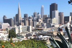 San Francisco: Nachbarschaftstour - 6 Routenoptionen