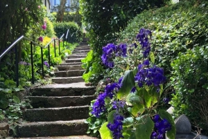 San Francisco: Nachbarschaftstour - 6 Routenoptionen