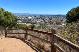 San Francisco: Nachbarschaftstour - 6 Routenoptionen