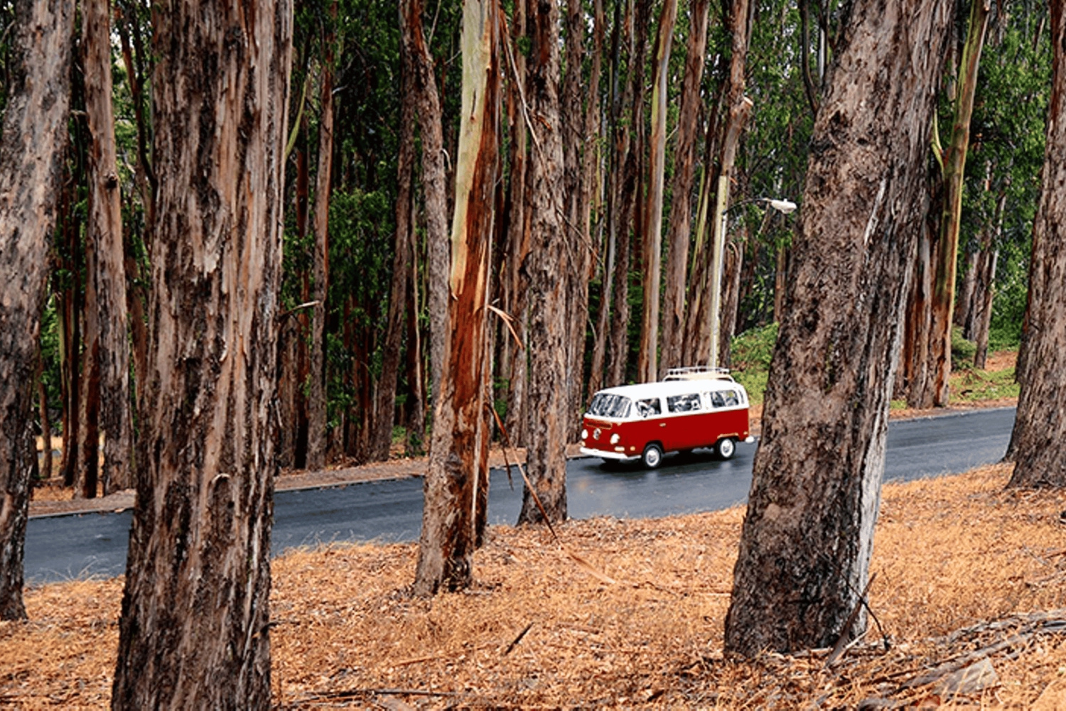 San Francisco: Original 3-timers byrundvisning i Volkswagen-bus