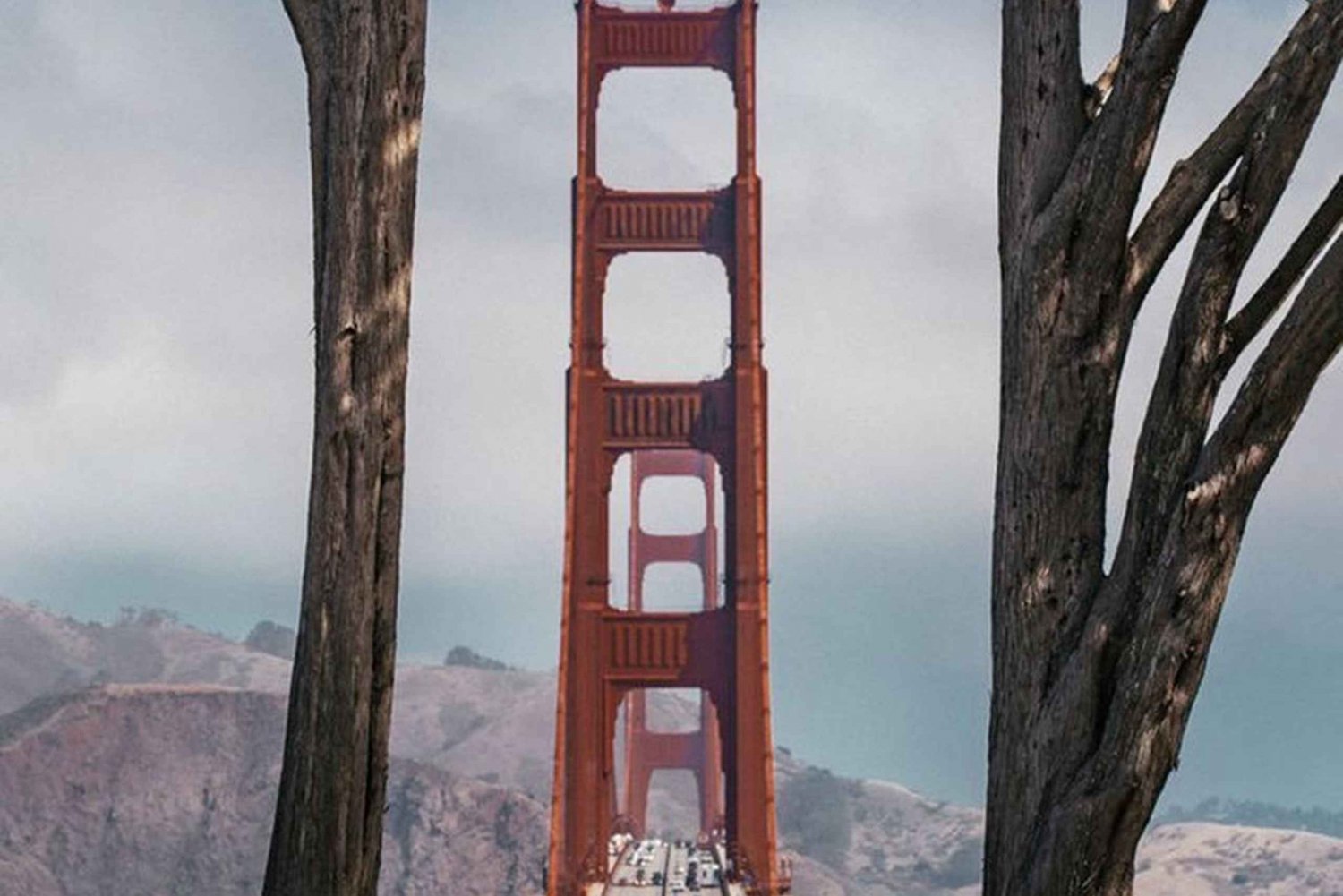 Tour fotografico di San Francisco con un fotografo privato