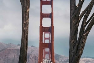 Tour fotográfico de San Francisco con un fotógrafo privado