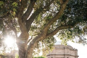 Tour fotográfico em São Francisco com um fotógrafo particular