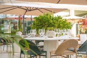 San Francisco: tour enologico premium per piccoli gruppi a Napa e Sonoma