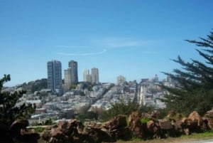 San Francisco: Servizio di autista privato