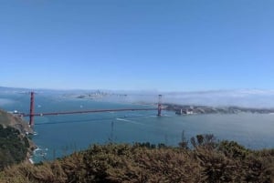 San Francisco: Private City Sightseeing Tour