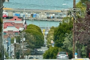 Частная экскурсия по Сан-Франциско на новом электромобиле Volkswagen