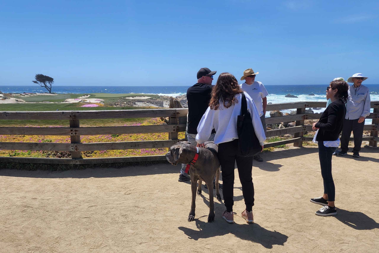 San Francisco: Yksityinen Monterey Aquarium 17 Mile Carmel