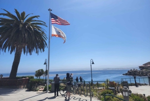 San Francisco: Yksityinen Monterey Aquarium 17 Mile Carmel