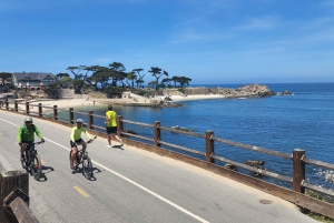 San Francisco: Yksityinen Monterey Aquarium 17 Mile Carmel