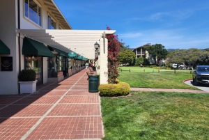 San Francisco: Yksityinen Monterey Aquarium 17 Mile Carmel