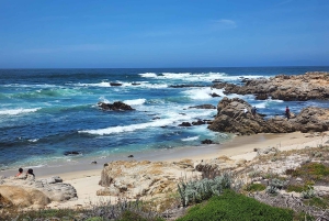 San Francisco: Yksityinen Monterey Aquarium 17 Mile Carmel