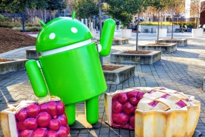 San Francisco: Yksityinen Monterey Aquarium 17 Mile Carmel