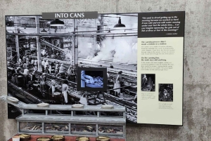 San Francisco: Yksityinen Monterey Aquarium 17 Mile Carmel