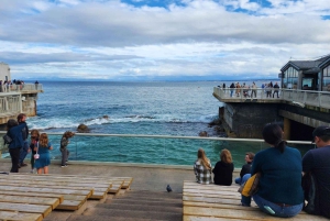 San Francisco: Yksityinen Monterey Aquarium 17 Mile Carmel