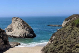 San Francisco:Excursión privada de un día a Monterey, Carmel y Big Sur