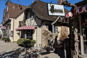 San Francisco:Excursión privada de un día a Monterey, Carmel y Big Sur