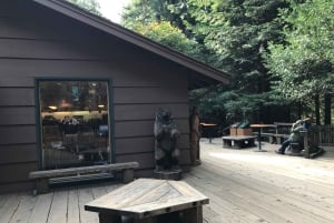 San Francisco: Muir Woods ja Sausalito -kierros