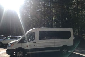 San Francisco: Muir Woods ja Sausalito -kierros