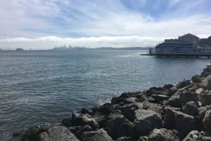 San Francisco: Muir Woods ja Sausalito -kierros