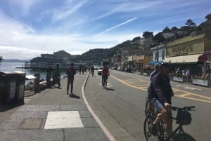 San Francisco: Muir Woods ja Sausalito -kierros