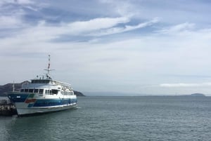 San Francisco: Muir Woods ja Sausalito -kierros