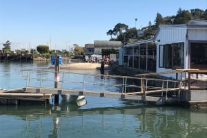 San Francisco: Muir Woods ja Sausalito -kierros